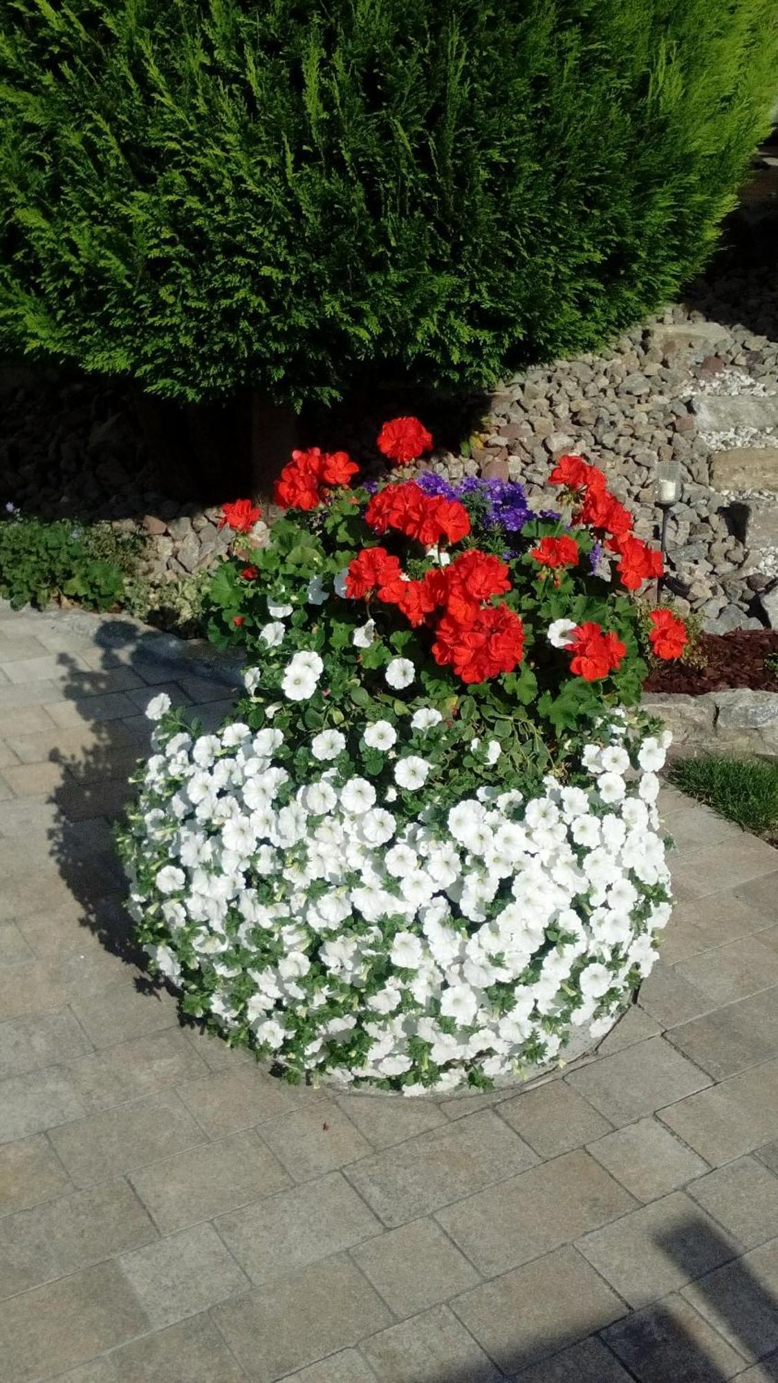 Ferienwohnung Seegarten Waldbuttelbrunn Экстерьер фото